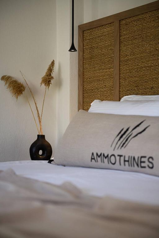 Ammothines Beach Suites